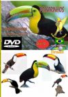 DVD 12 - P�ssaros Livres - Sons P�ssaros Brasil